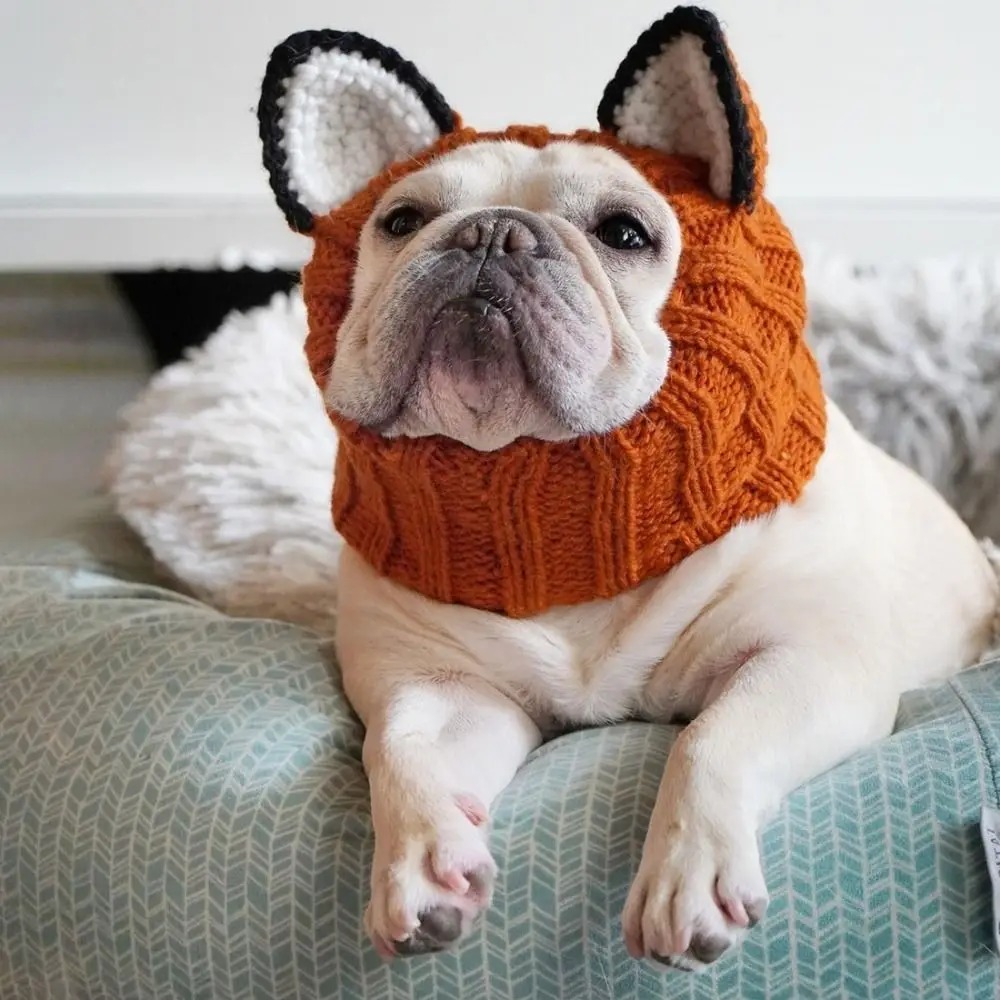 Cozy Critter Knit Dog Hoods 🐾