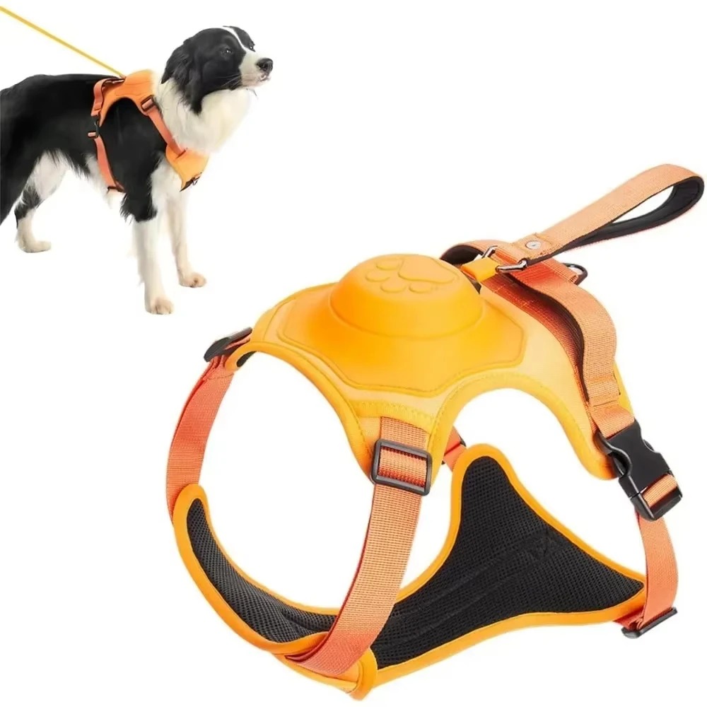 No-Pull Adjustable Dog Harness with Leash